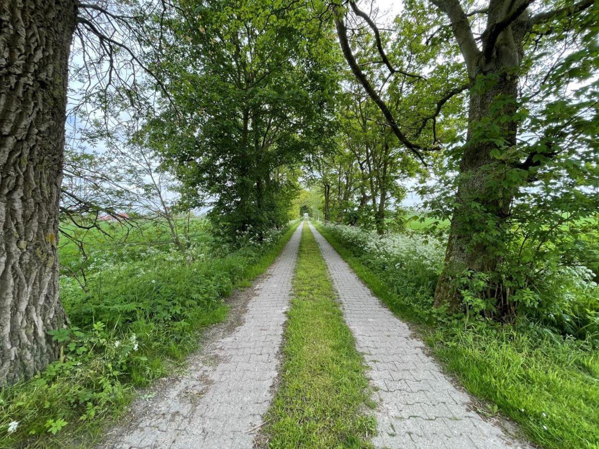 Mooi Stuv , Maisonettenwohnung , Gulfhof , Kachelofen Norden Exterior foto